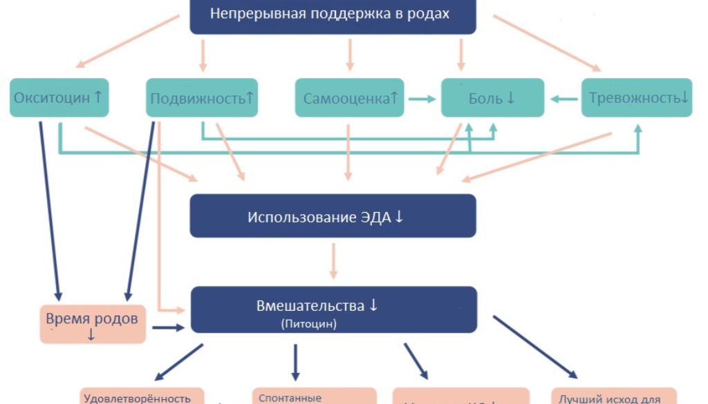 концептуальная_модель
