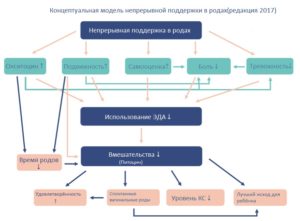 концептуальная_модель концептуальная_модель