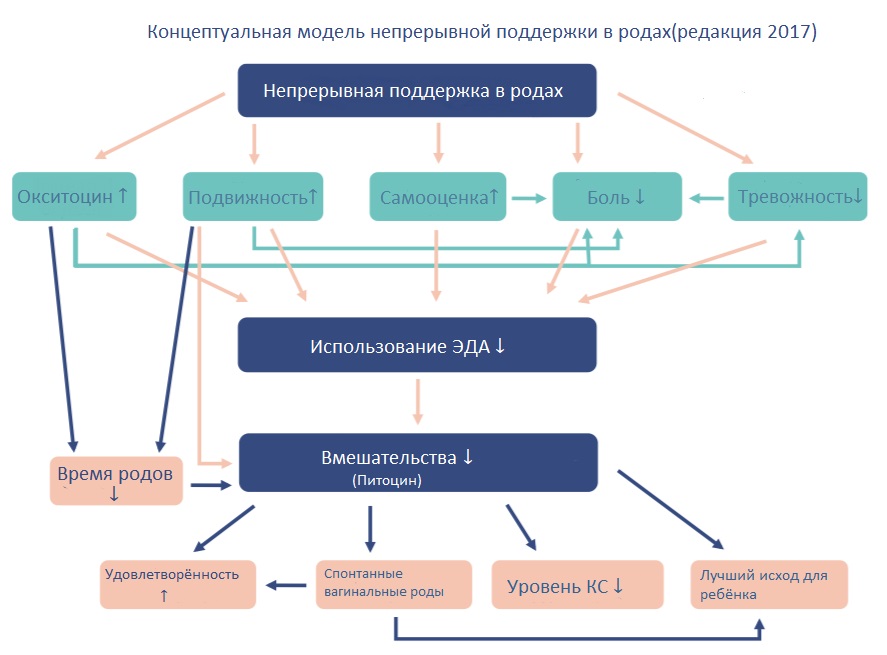 концептуальная_модель